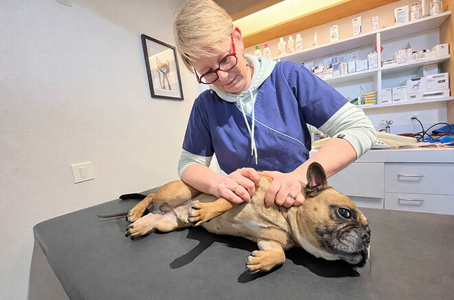 SV-Consultations Consultation et suivi