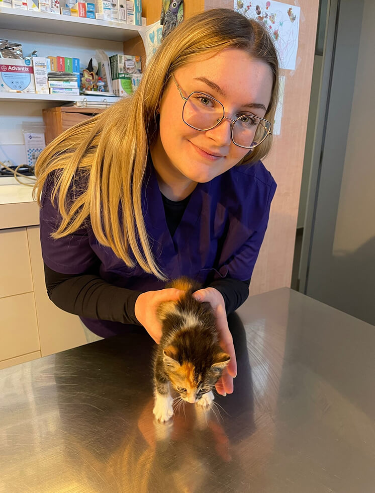 SV-Contact-1 Vétérinaire avec un chaton