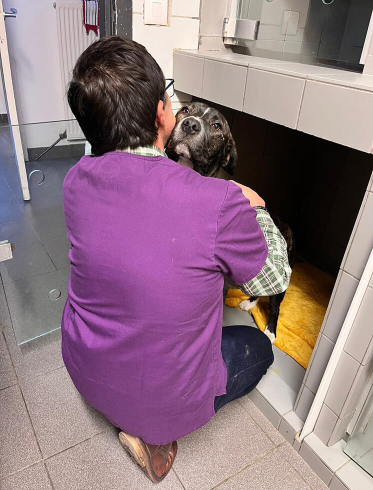 Vétérinaire qui prends un chien dans ses bras